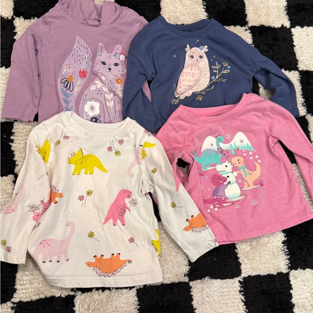 Kids Dinosaur and Animal Graphic Long Sleeve Tops
